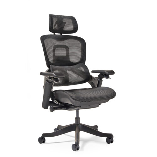 Lyra is a fully ergonomic task chair with adjustable arms and integrated head rest in black