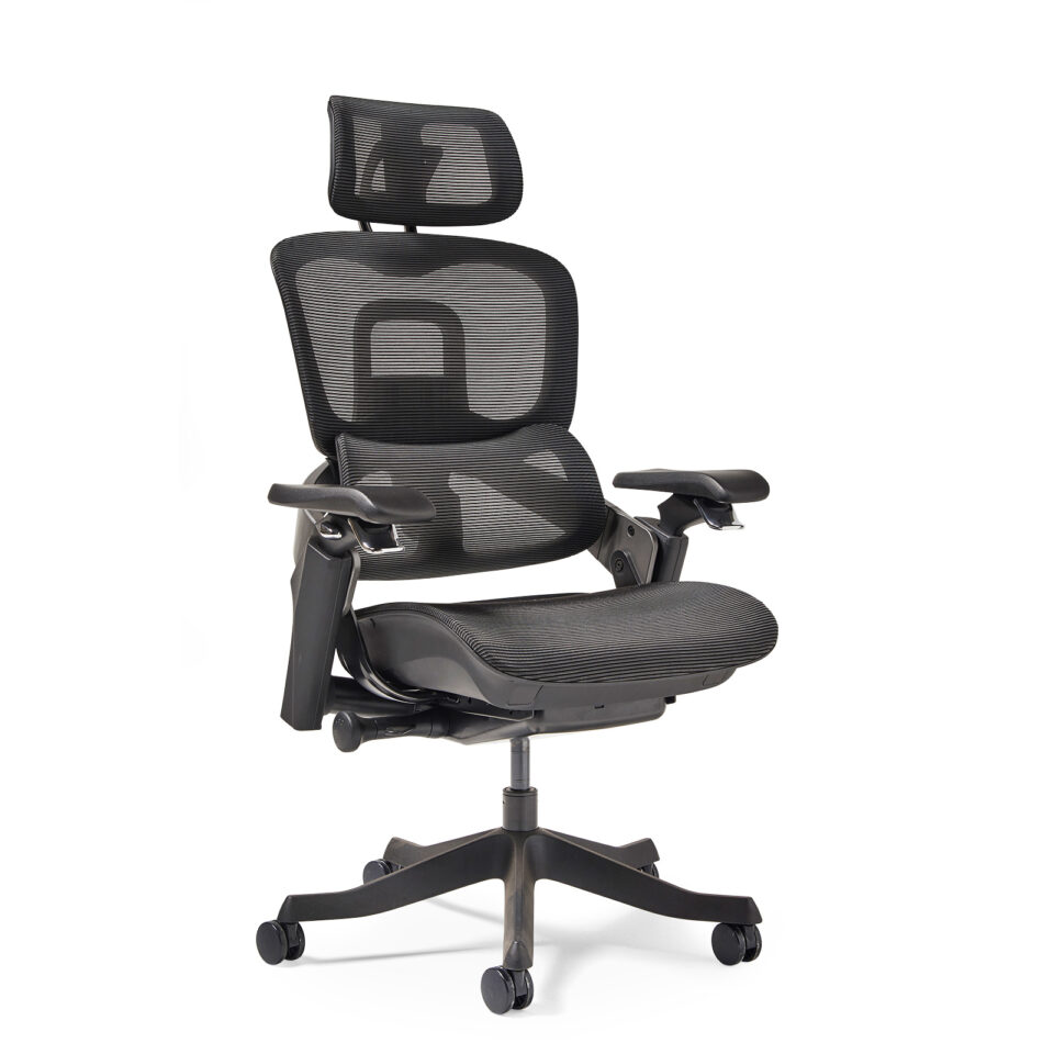 Lyra is a fully ergonomic task chair with adjustable arms and integrated head rest in black