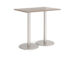 Monza rectangular poseur table with flat round brushed steel bases